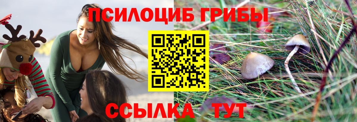 Галлюциногенные грибы мицелий Луга