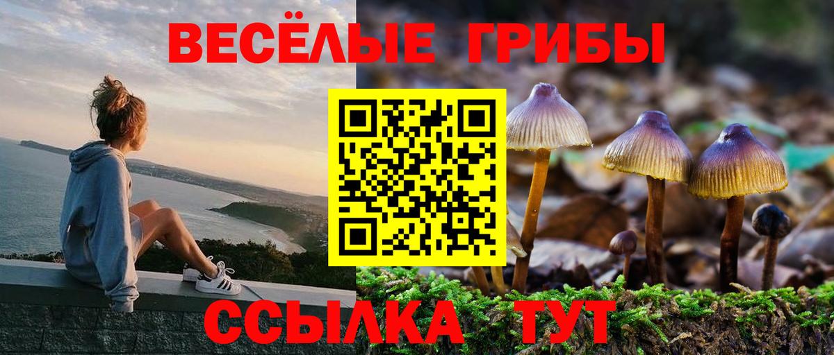 Луга  Псилоцибиновые грибы Psilocybe  Вход с VPN 